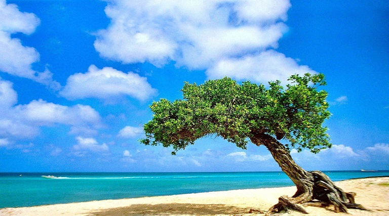 aruba