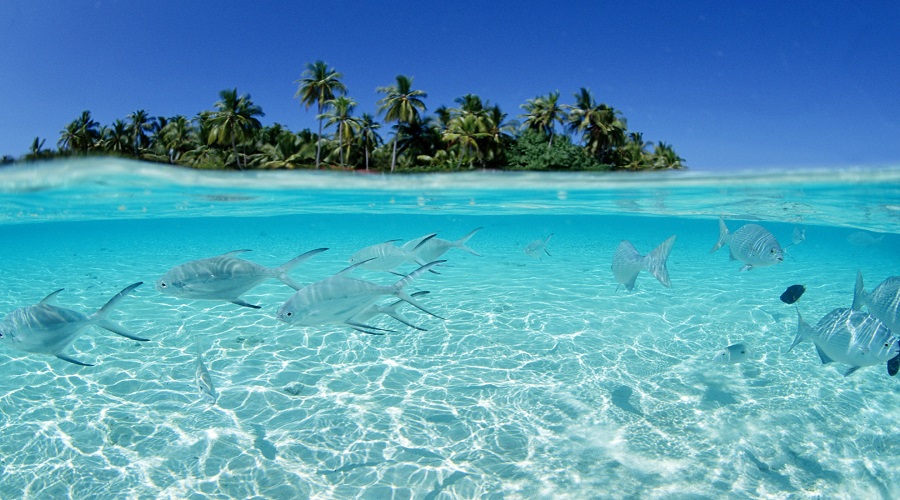 punta cana